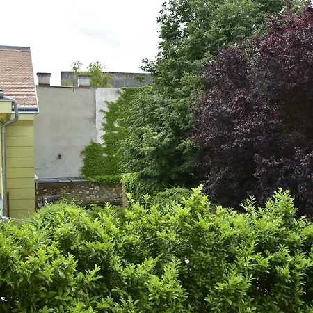 بيت ضيافة Stm3