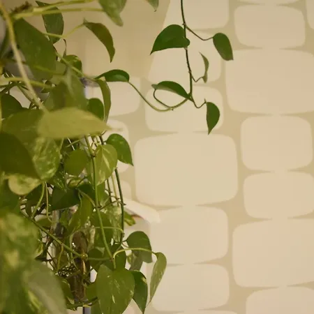 بيت ضيافة Stm3 بيتْش